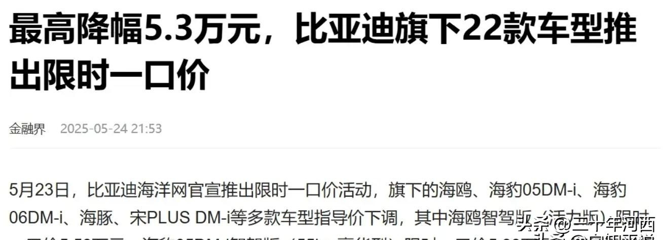 比亞迪突然撤出價(jià)格戰(zhàn),全行業(yè)盈利率慘烈,中國(guó)汽車等的就是這天